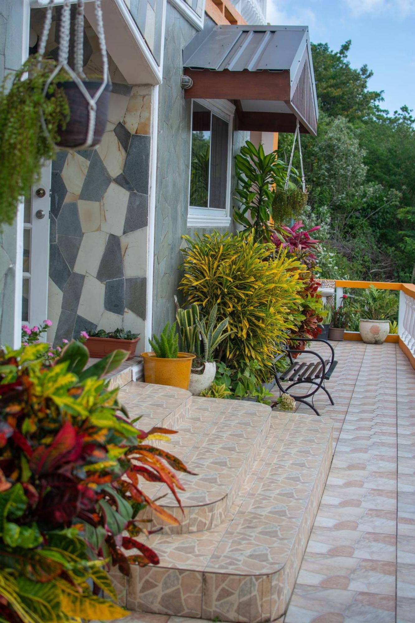 Mountain View Apartments Gros Islet Exteriör bild